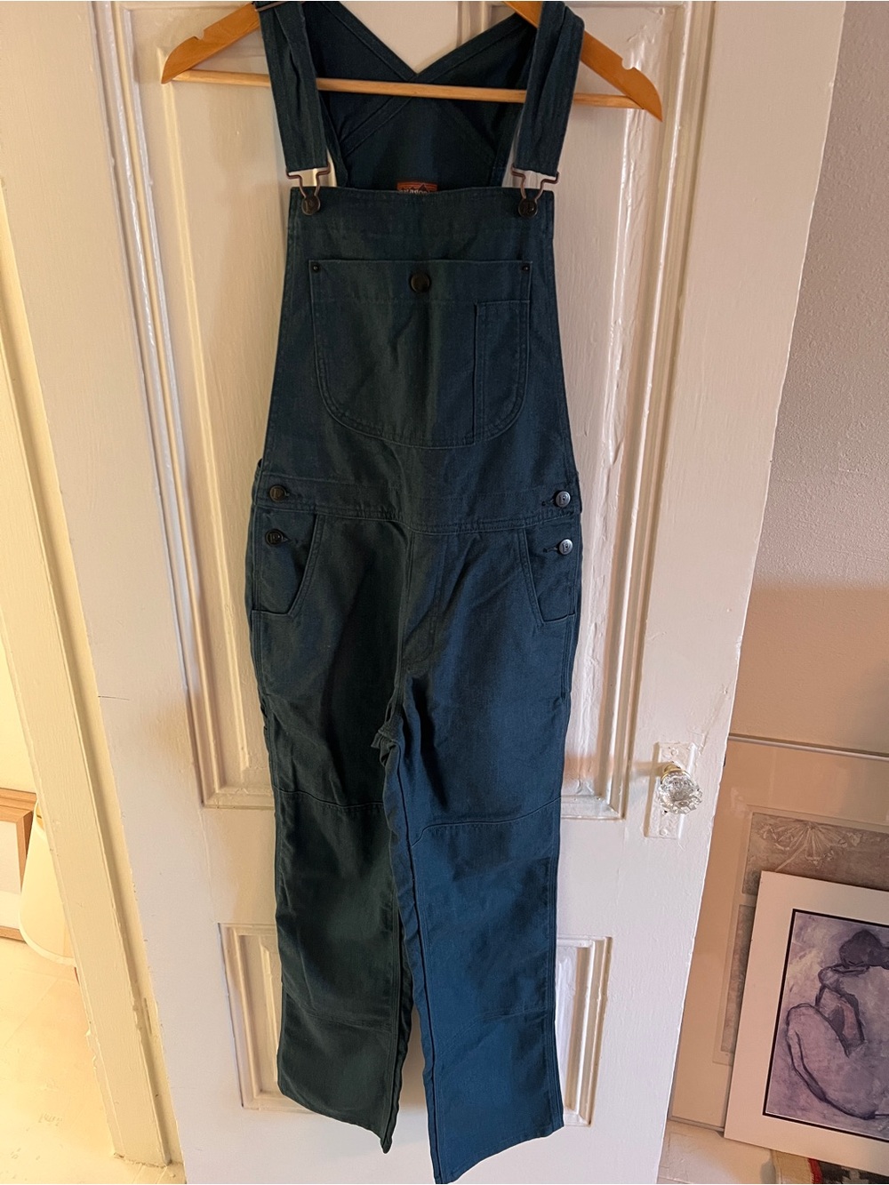 Patagonia hemp overalls XS